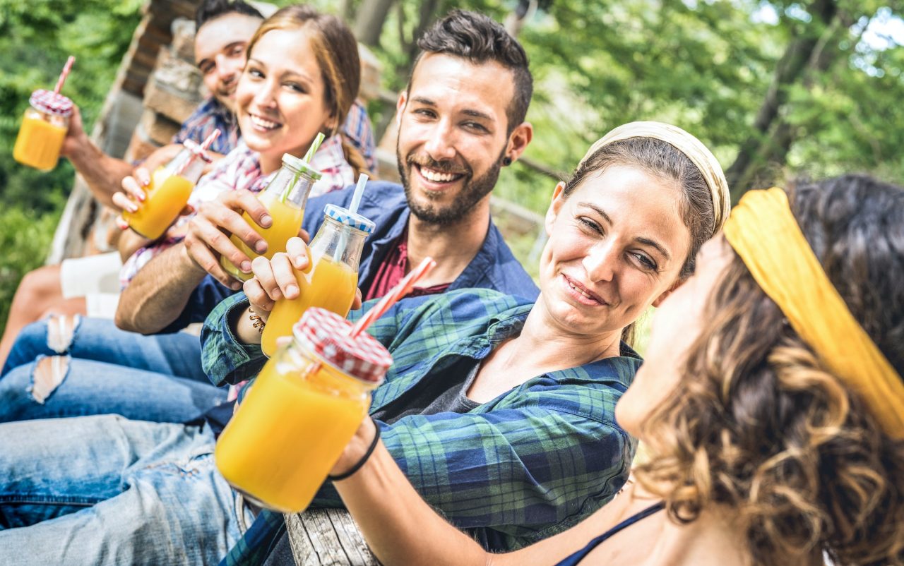 happy friends drinking healthy orange fruit juice at countryside picnic