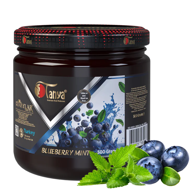 BLUEBERRY MINT Hookah Molasses 500Gr