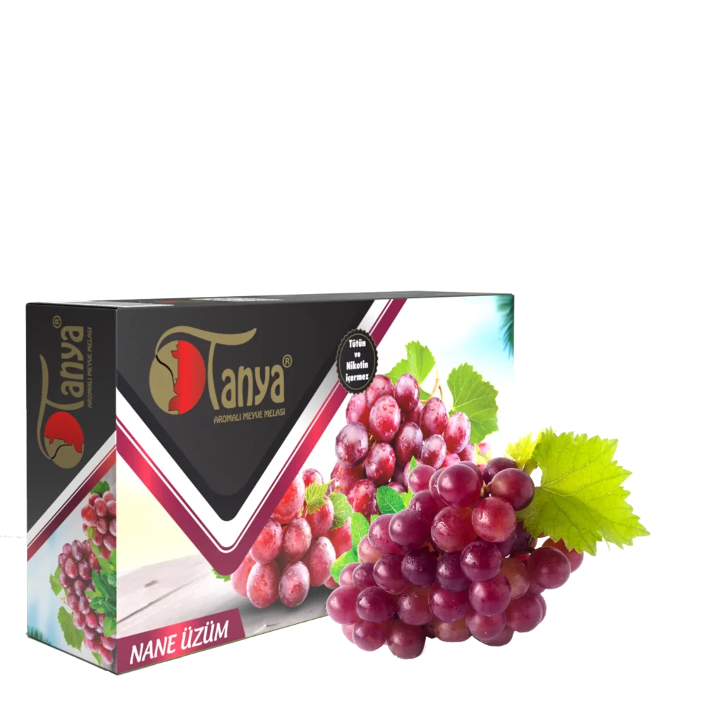RAISIN MENTHE Mélasse à chicha 125 g