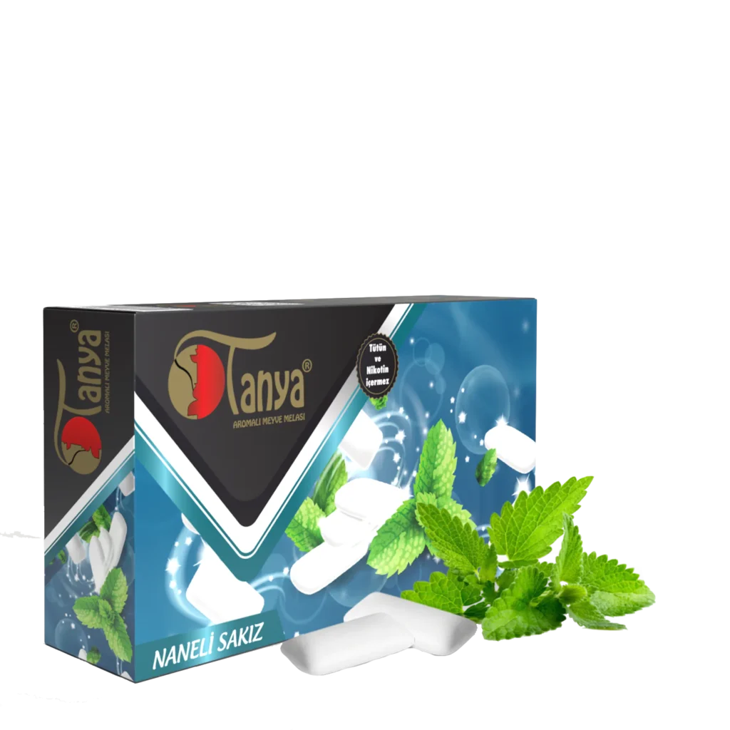 CHEWING-GUM MENTHE Mélasse à chicha 125 g